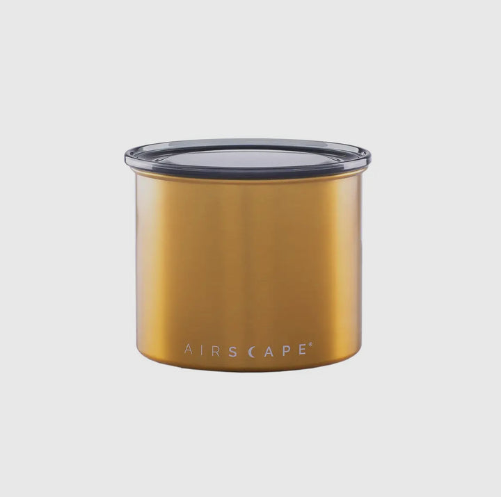 Airscape 250g acier inoxydable couleur or récipient de conservation hermétique - Coffee Coaching Club
