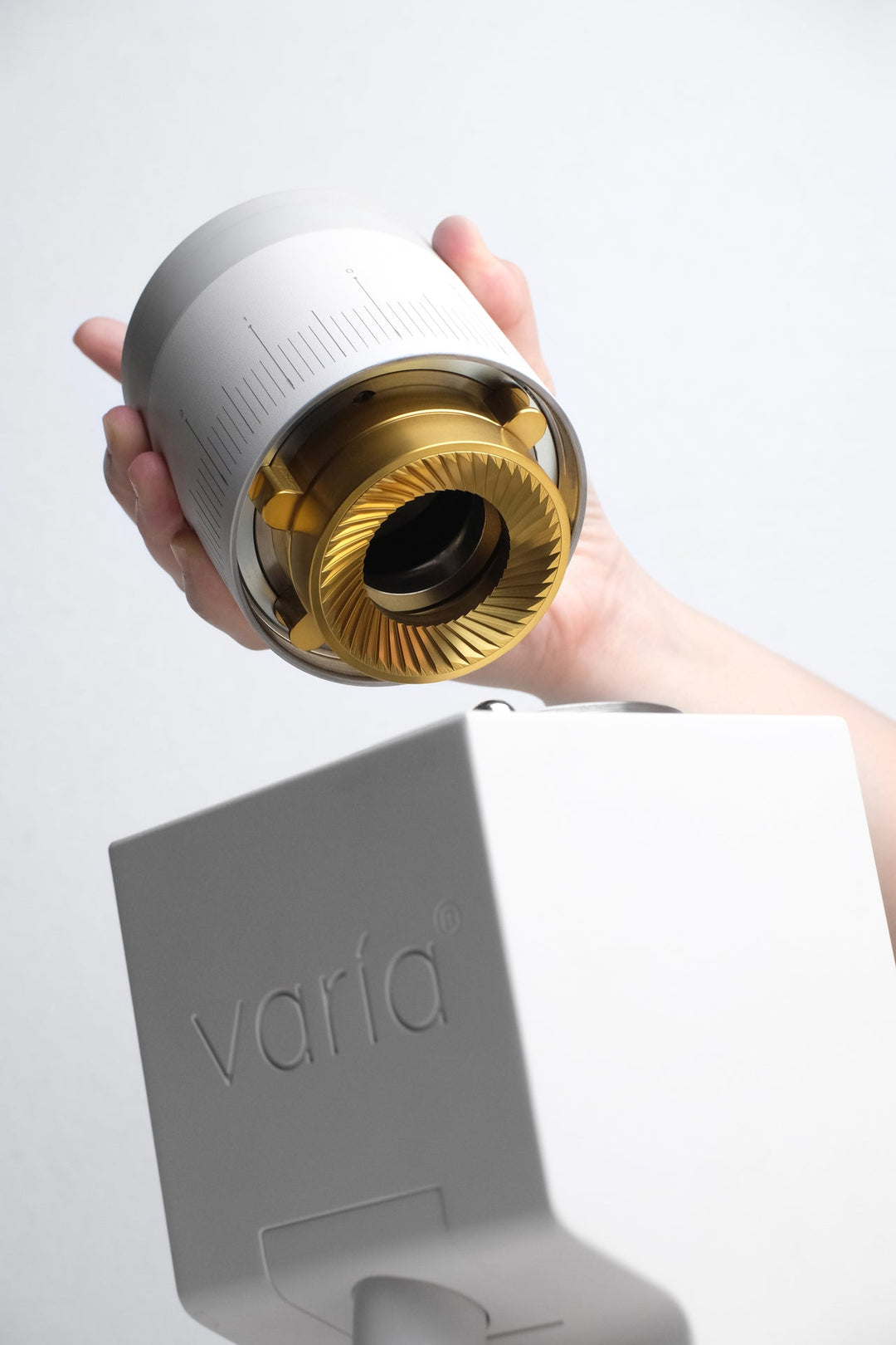 Varia VS6 Gold Titanium burrs cutting edge – Coffee Coaching Club 3