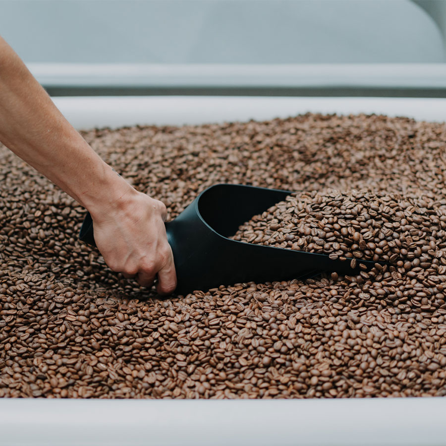 Cuillère à grains Rhino Coffee Gear - Coffee Coaching Club