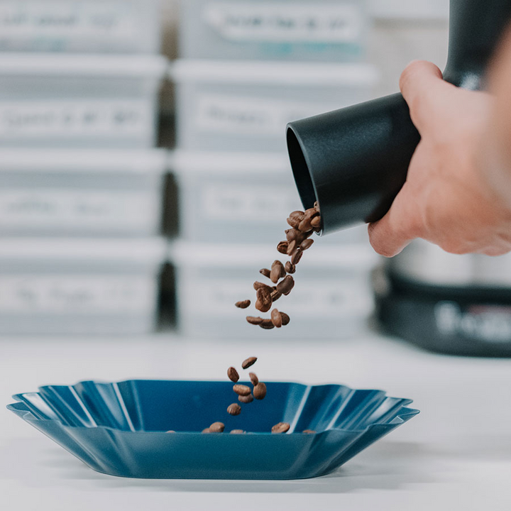 Cuillère à grains Rhino Coffee Gear - Coffee Coaching Club