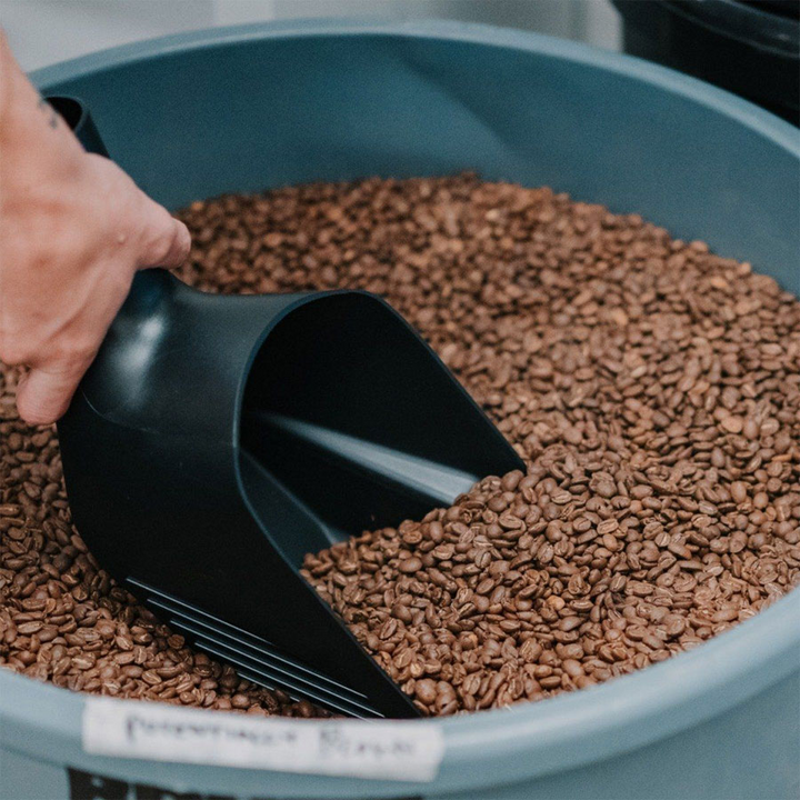 Cuillère à grains Rhino Coffee Gear - Coffee Coaching Club