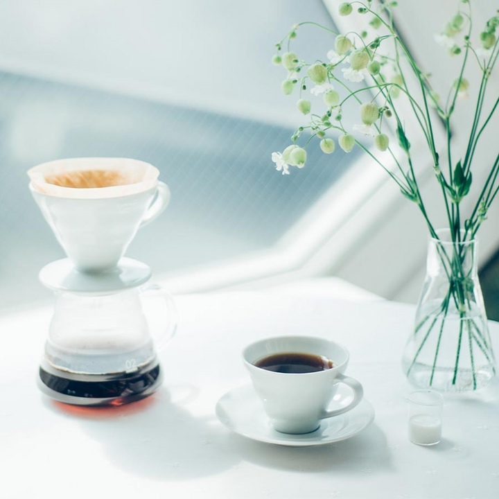 Taza de cerámica y platillo Hario con diseño V60 150ml - Blanco - Coffee Coaching Club